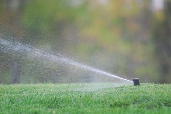 Affordable Lawn Sprinklers and Lighting