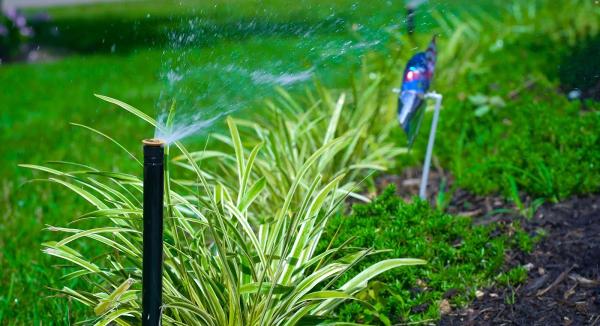 Affordable Lawn Sprinklers and Lighting