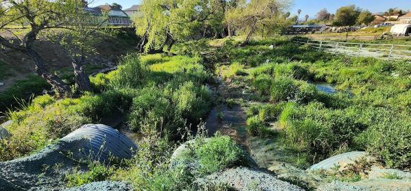 Eliminate Weed Control