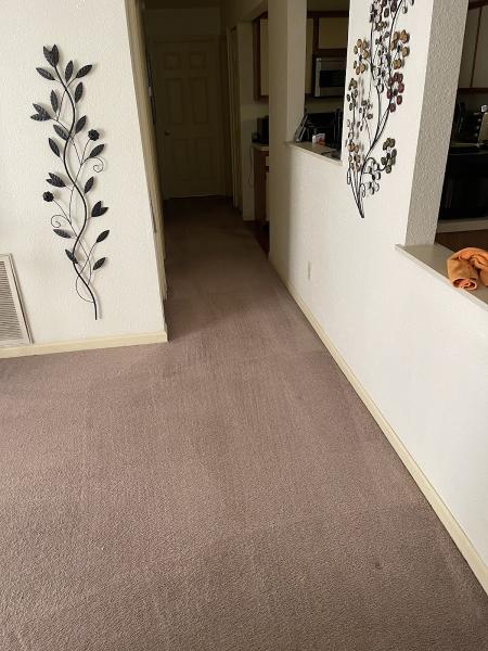 Steampro Carpet Cleaning