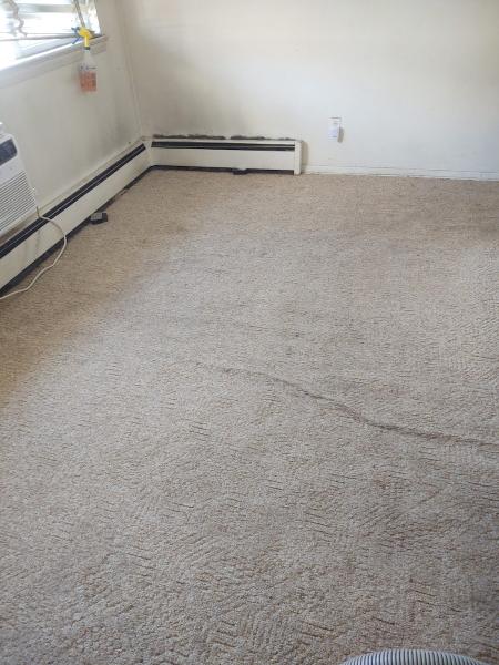 Al's Carpet and Upholstery Cleaning