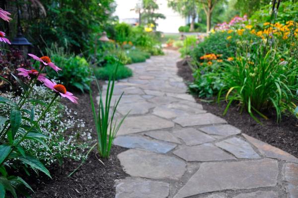 Cantu Nursery & Landscape