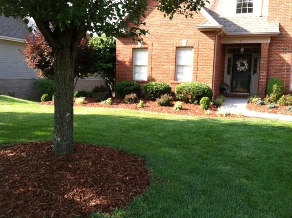 Williams Lawn Care & Snow Removal