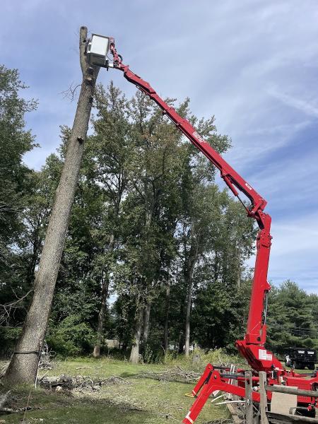 Morales Tree Services LLC