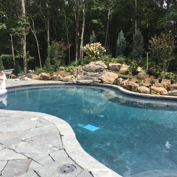 Green Forward Landscaping