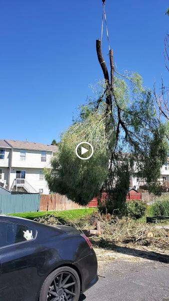 Timberworx Tree & Landscaping