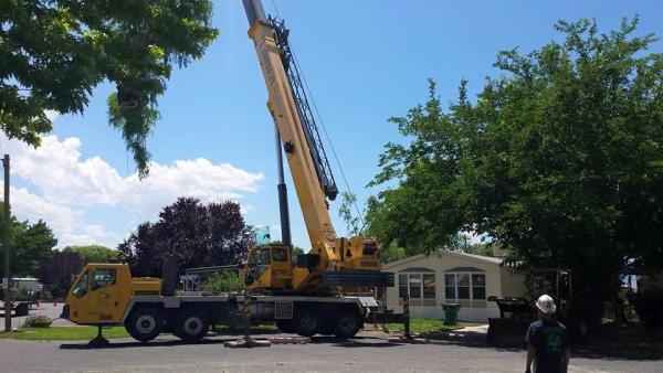Timberworx Tree & Landscaping