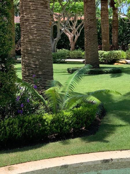 Amaya Landscaping Maintenance & Lawn Care