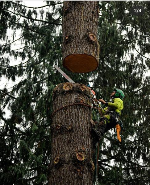 Oathkeepers Tree Care