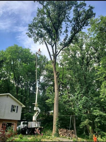 Oathkeepers Tree Care