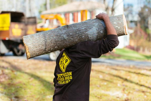 Southern Tree Pros