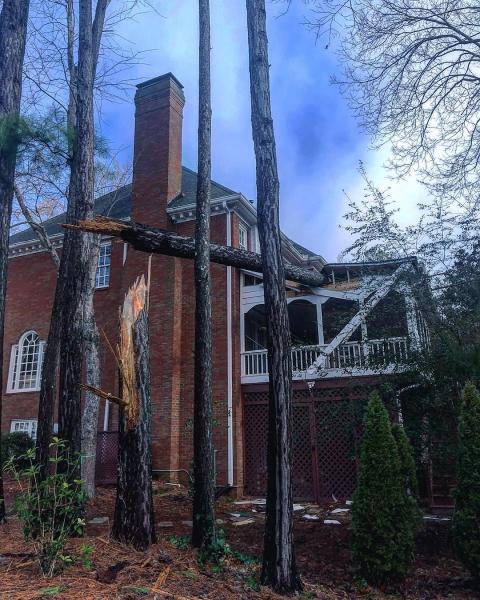 Southern Tree Pros