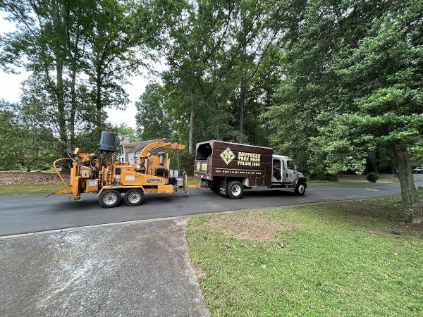 Southern Tree Pros