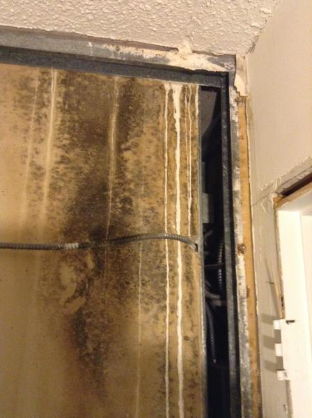 Champion Restoration Services