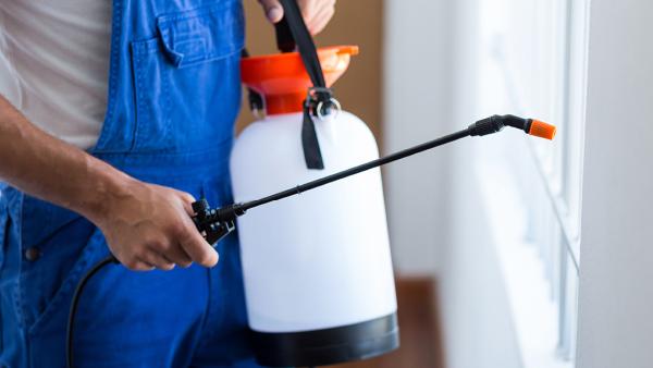 Beck Pest Control