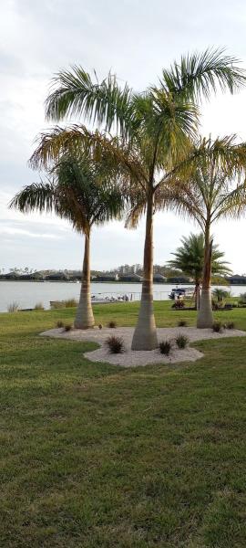 Rigo Landscaping Group LLC