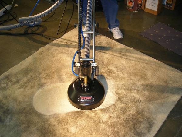 David's Restore Carpet Cleaning