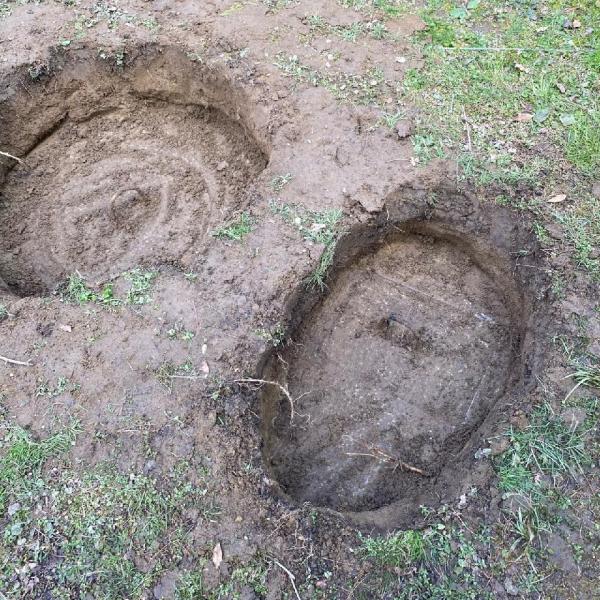Dawes Septic and Repair