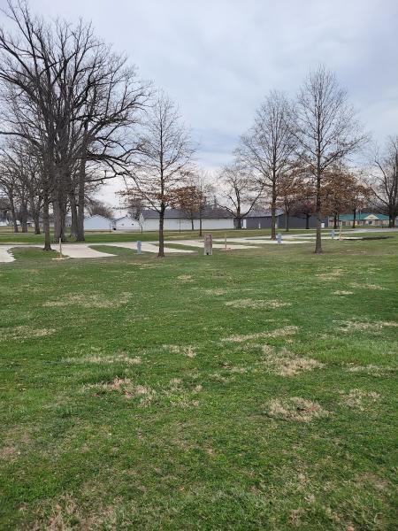 C&I Lawn and Landscaping