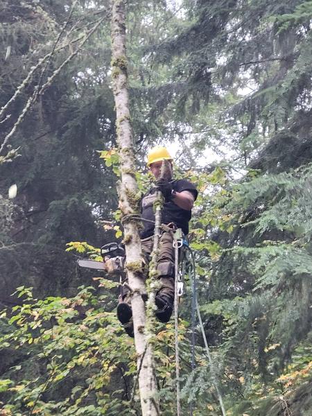 The Dreyers Tree Service
