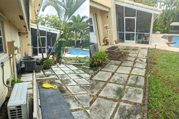 Tropical South Landscaping
