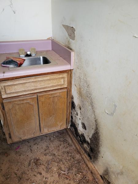 Divine Home and Commercial Inspections