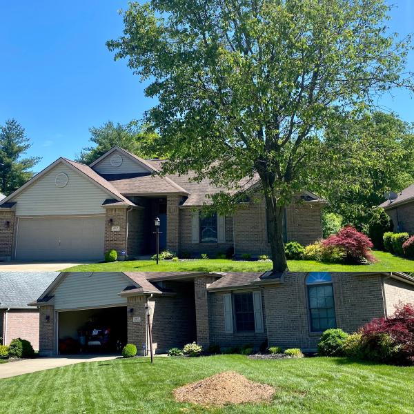 Branching Out Tree Service