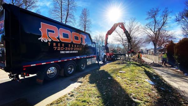 Root Tree Service