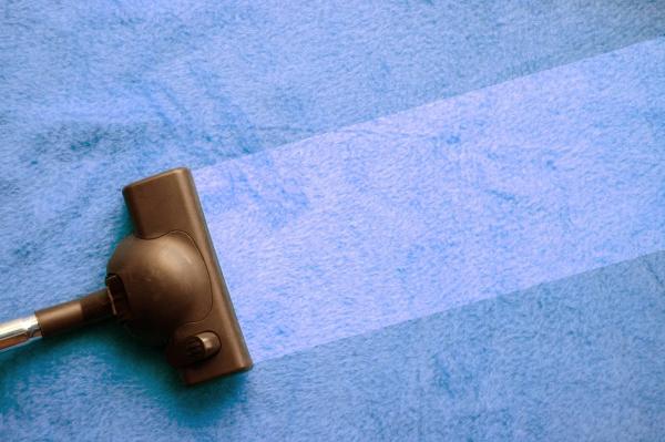 Windy City Carpet Cleaning