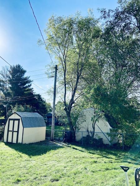 Valley Tree Service