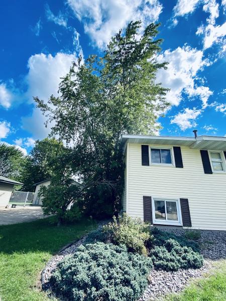 Valley Tree Service