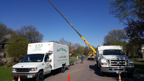 Valley Tree Service