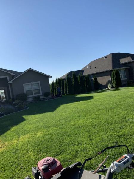 Razor Landscaping