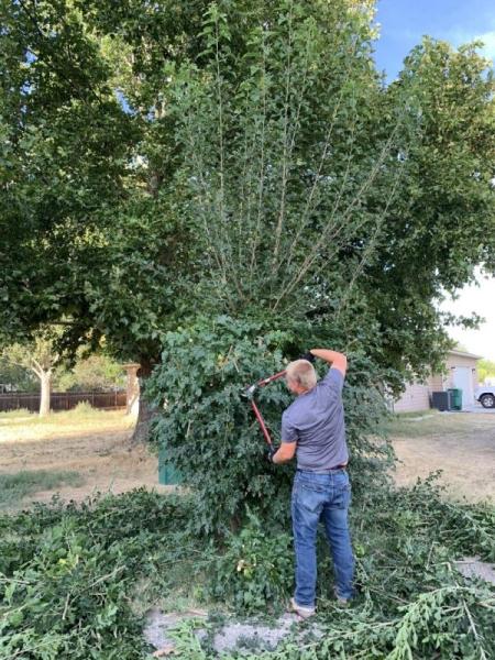 Razor Landscaping