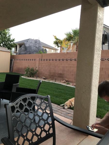 Raintree Landscaping LLC