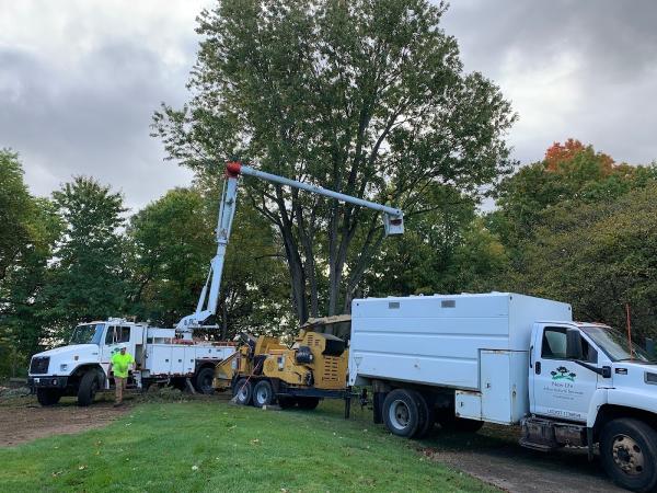 New Life Arboricultural Services