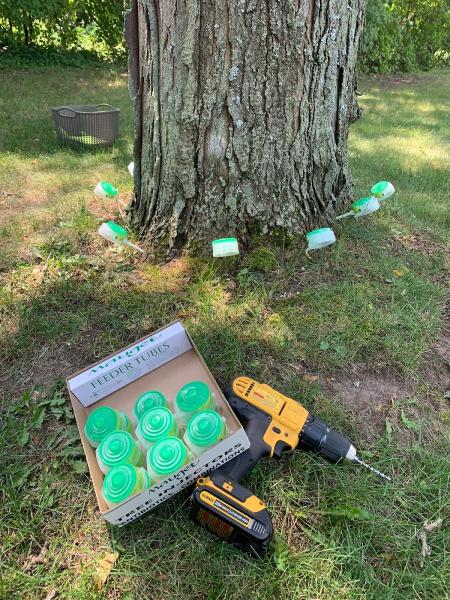 New Life Arboricultural Services