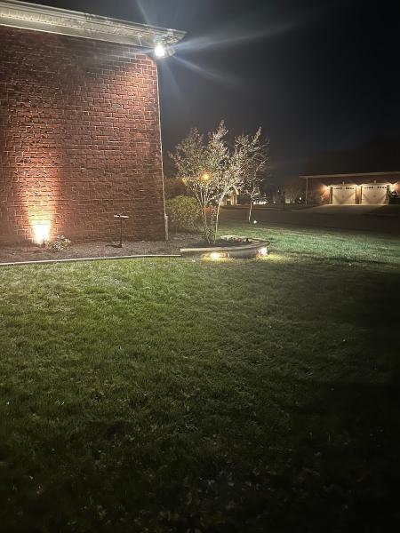 Carter Lawn Management