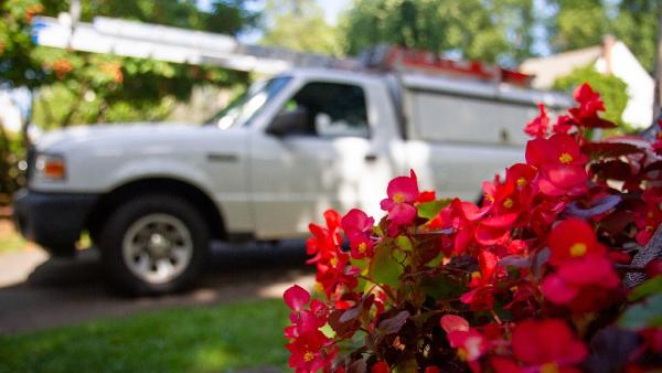 Richland Pest & Bee Control