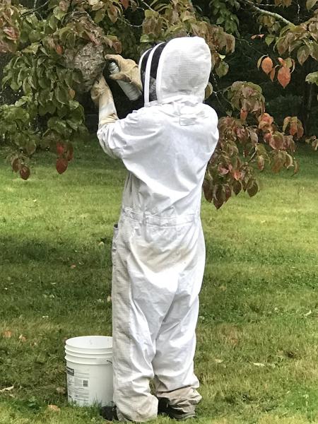 Richland Pest & Bee Control