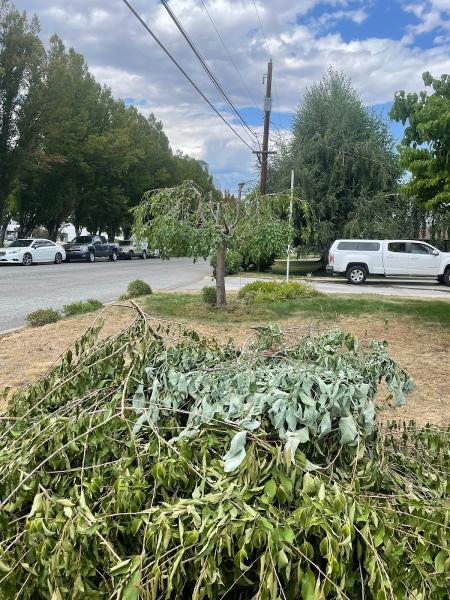 Priority Landscape