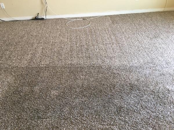 Pro Clean Carpet Care