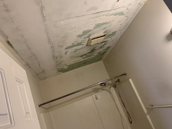ESR Painting LLC