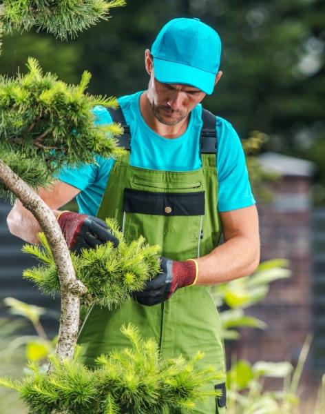 Jb's Landscaping