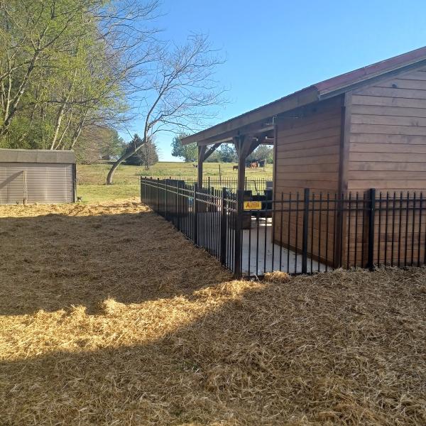 AAA Fences