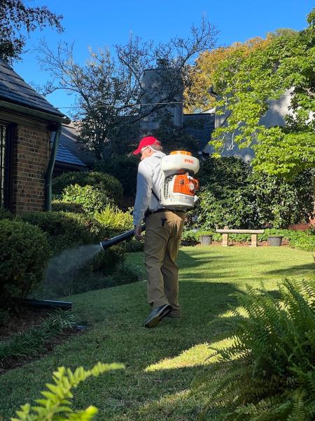 Mosquito Slayer
