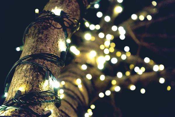 Saint George Christmas Light Installation