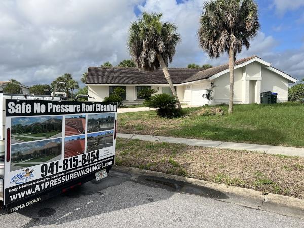 A-1 Pressure Washing & Roof Cleaning