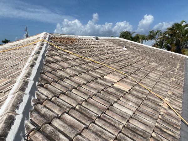 A-1 Pressure Washing & Roof Cleaning
