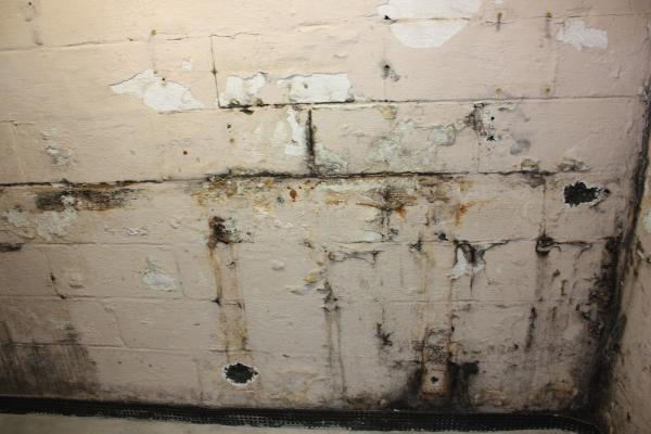 Healthy Way Waterproofing & Mold Remediation